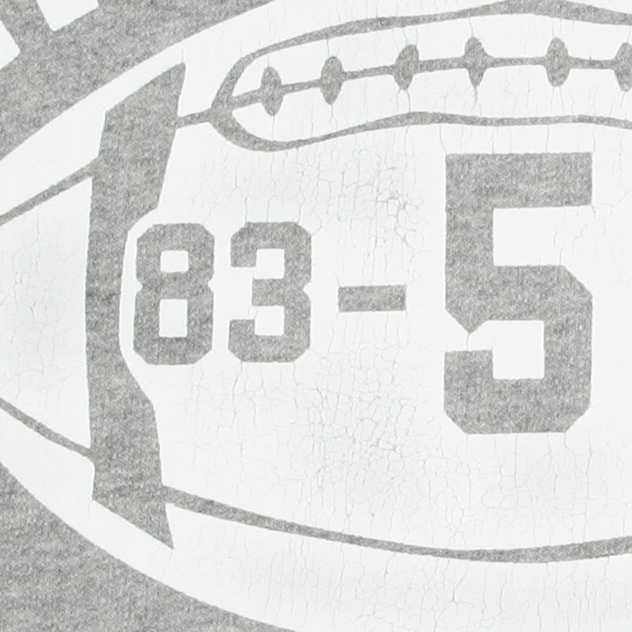 Grey Crew Neck CH64089 College Football Printed Sweatshirt CANE2841
